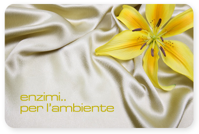 enzimi per l'ambiente